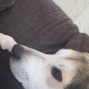 Meet your Posher, Darrius